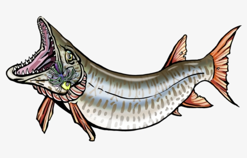 Free Muskie Clip Art With No Background ClipartKey free-muskie-clip-art-with-no-background-clipartkey