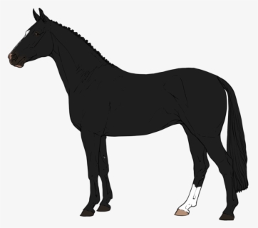 Download Png Download Png Download American Saddlebred Horse Silhouette Free Transparent Clipart Clipartkey