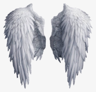 Realistic Angel Wings Png Image - Transparent Angel Wings Png , Free ...
