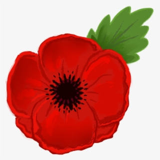 Poppy Field Png - Poppies Png , Free Transparent Clipart - ClipartKey