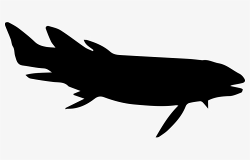 Rodeo Svg Fish Whale Free Transparent Clipart Clipartkey