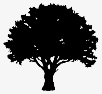 Free Tree Silhouette Clip Art With No Background Page 2 Clipartkey