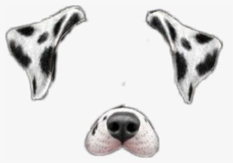 Puppy Svg Traceable - Dalmatian Face Clip Art , Free Transparent ...