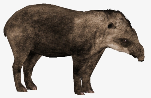 Tapir - Tapir Clipart , Free Transparent Clipart - ClipartKey
