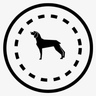 busy bee dog toy best in show