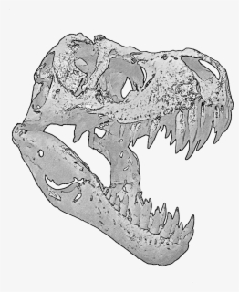 t rex skull cartoon