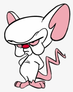 Pinky And The Brain - Pinky And The Brain Cartoon , Free Transparent ...