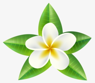 Featured image of post Sampaguita Vector Png Almost files can be used for commercial