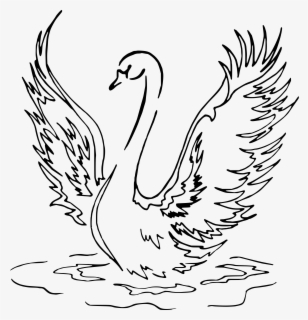 swan line drawing black and white swan free transparent clipart clipartkey swan line drawing black and white
