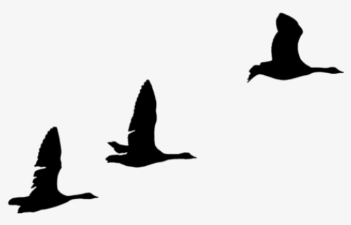 Flock Of Flying Geese Silhouette Icons Png - Geese Flying Silhouette ...