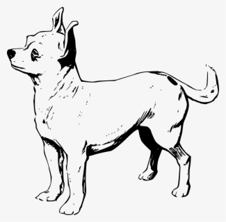 chihuahua clipart black and white