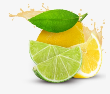 Transparent Background Animal Rights Sign Free Lemonade Clip Art with No Background , Page 8 - ClipartKey