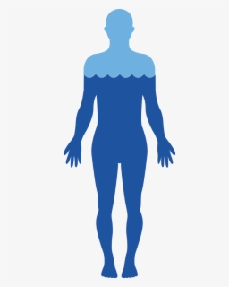 Human Body Clipart - Human Body Organs Clipart , Free Transparent ...