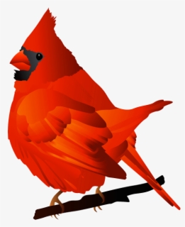 Free Cardinal Clip Art With No Background Clipartkey