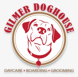 dog daycare and grooming