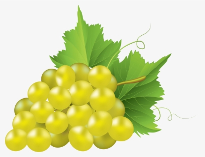 Grape Clip Art Transprent - Chardonnay Grapes White Background , Free ...