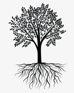 Free Tree Black And White Clip Art with No Background - ClipartKey