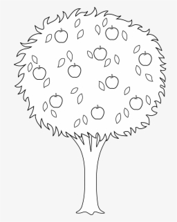 Orange Tree Clipart Black And White Free Transparent Clipart Clipartkey