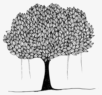 Free Tree Black And White Clip Art with No Background - ClipartKey