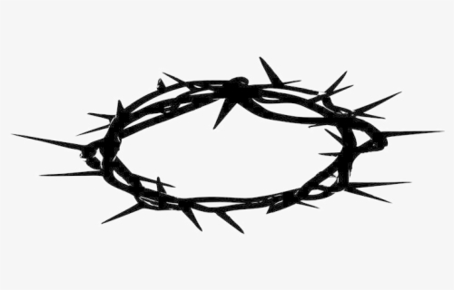 Download Crown Of Thorns Png Photo - Crown Of Thorns Transparent ...