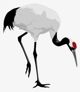 Red Crane Clipart - Red Crowned Crane Transparent , Free Transparent ...