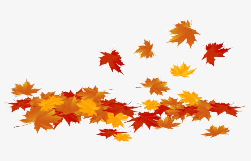 Download Fallen Leaves Clipart - Transparent Background Fall Leaves Clipart  , Free Transparent Clipart - ClipartKey