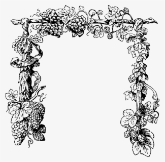 Vines Clipart Arch - Aesthetic Vaporwave Plants Png , Free Transparent ...