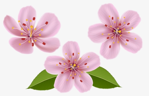 Spring Image No Background Free Spring Clip Art with No Background - ClipartKey
