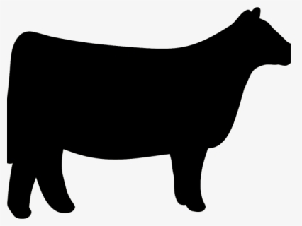 Clip Art Cow Clipart Heifer Pictures - Heifer Show Cattle Silhouette ...