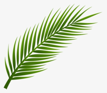 Reliable Palm Tree Leaf Template Perfect Printable - Molde De Arvore Em ...