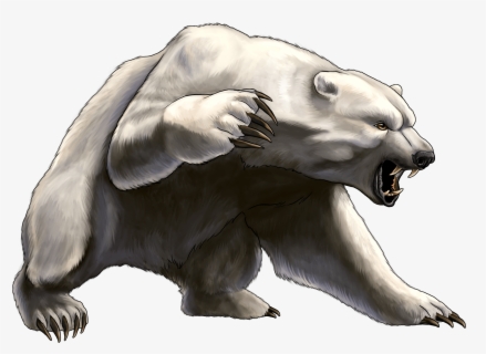 Angry White Bear Png Clipart Angry Polar Bear Drawing Free Transparent Clipart Clipartkey