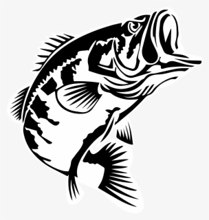 Download Bass Vector Fish Largemouth Bass Clipart Free Transparent Clipart Clipartkey