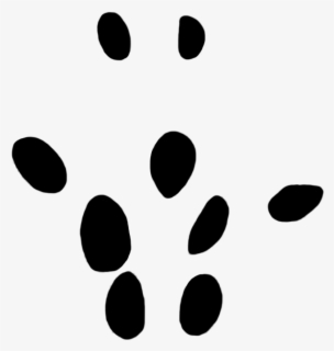 Free Dog Paws Clip Art With No Background Page 7 Clipartkey