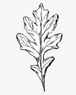 Free Oak Leaves Clip Art With No Background Clipartkey