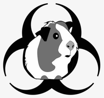 Download Free Guinea Pig Clip Art With No Background Clipartkey