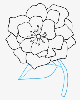 Clip Art Drawing Peony - Outline Peonies Flower Drawing , Free ...