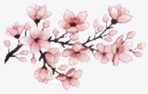 Japan Flower Clipart - Transparent Cherry Blossom , Free Transparent ...