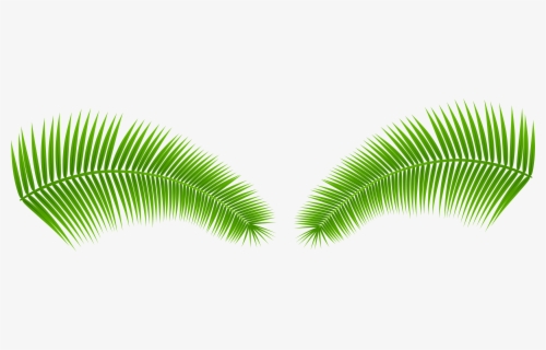 free coconut leaf clip art with no background clipartkey free coconut leaf clip art with no