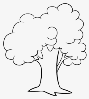 How To Draw A Cartoon Tree Easy Step By Step Drawing - Tree Pictures ...