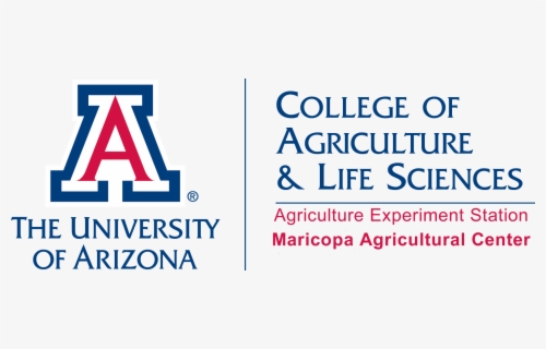 University Of Arizona Logo Png - University Of Arizona Transparent ...