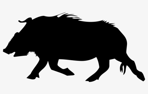 Hog Wild Toys Logo Clipart Png Download Hog Wild Toys Logo Free Transparent Clipart Clipartkey