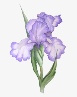 Free Purple Flower Clip Art With No Background Clipartkey