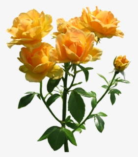 Free Lots' Clip Art with No Background , Page 4 - ClipartKey