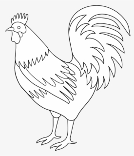 Free Rooster Black And White Clip Art With No Background Clipartkey