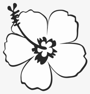 Free Sunflower Black And White Clip Art With No Background