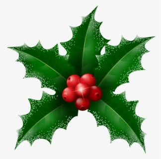 Free Holly Leaf Clip Art with No Background - ClipartKey