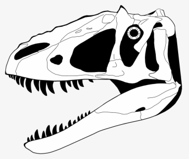 Skull Clipart Dinosaur - Dinosaur Skull Coloring Page , Free ...