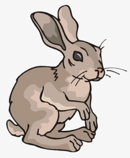 Bunny Clipart Running - Hare , Free Transparent Clipart - ClipartKey