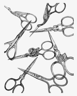 Clip Art Vintage Photos - Vintage Scissors Clipart , Free Transparent ...