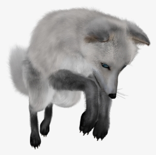 Free Arctic Fox Clip Art With No Background Clipartkey